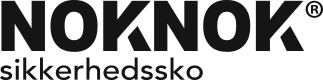 Noknok Logo